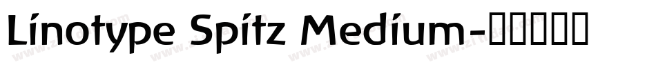 Linotype Spitz Medium字体转换